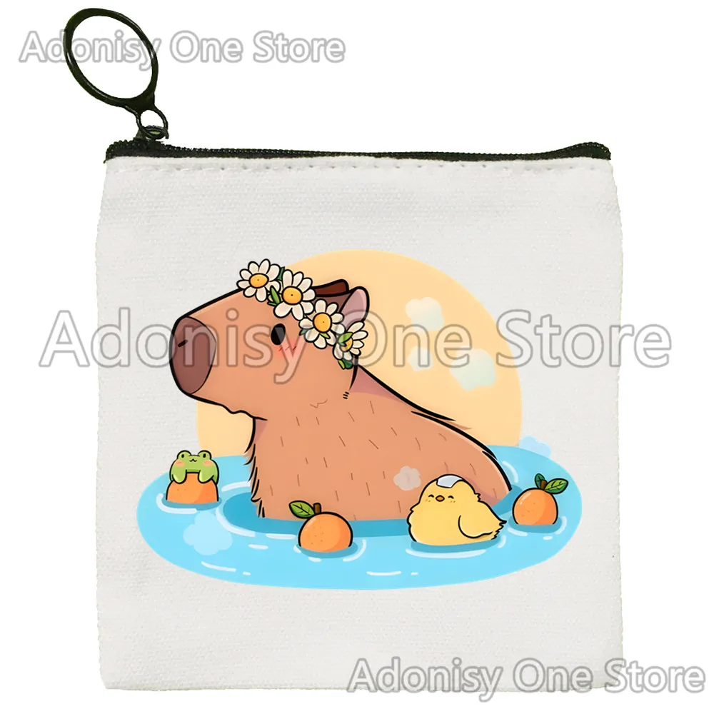 Capybara Version einfache Geldbörse Studentin Leinwand niedlichen Schlüssel tasche Mini Clutch kleine Geldbörse