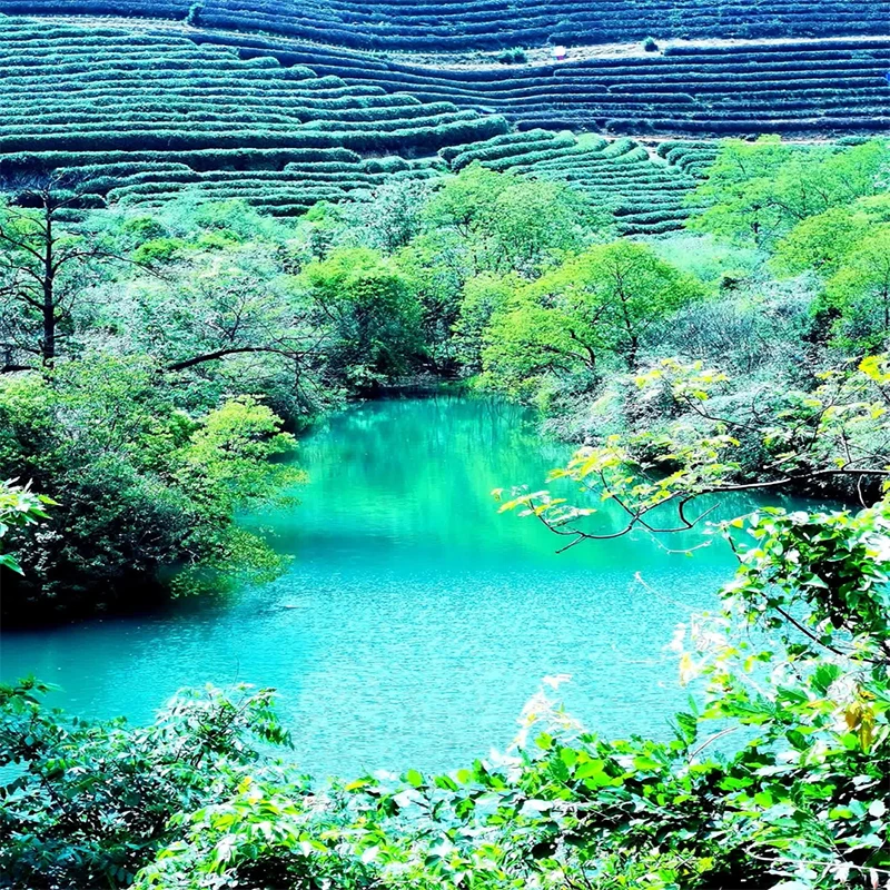 

LiPo аккумуляторная батарея 4S 6500 мАч 60C 14,8 В для радиоуправляемого автомобиля FPV Racing Drone Quadcopter Drone Батареи с вилкой XT60