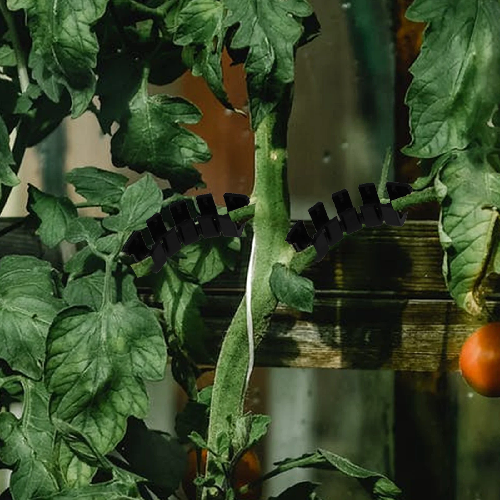 

1Set Premium Plastic Plant Stem Clip Gardening Tool Simple Design Sufficient Quantity for Various Flowers Plant Clips