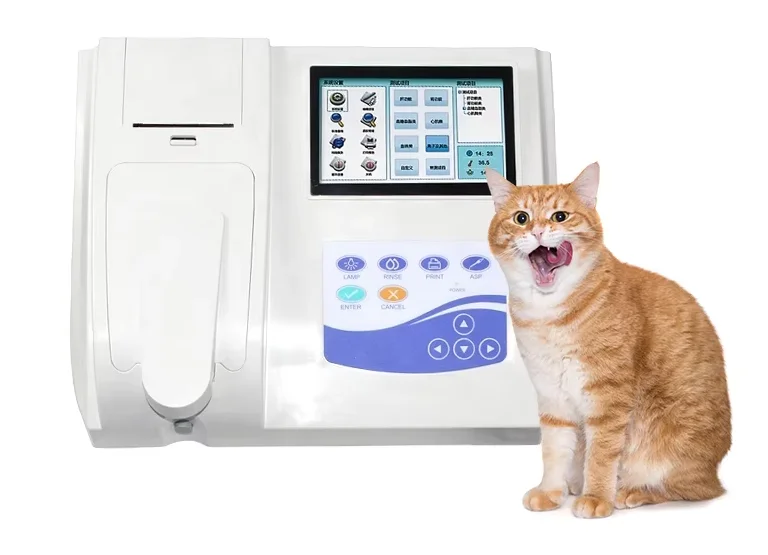 

Vet Semi-auto Biochemistry Analyzer Touch Screen Thermal Multiple Print Power Offer Protection