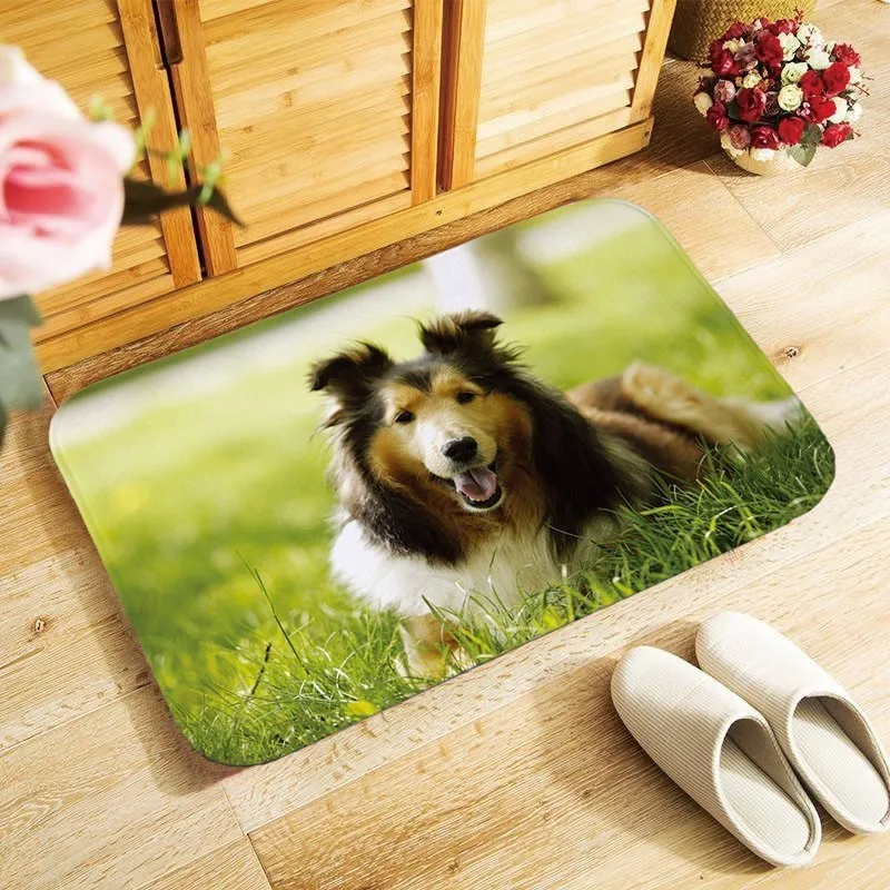 Thicken flannel soft doormat beautiful dogs photo printed home Decor floor carpet door mat hallway kitchen bathroom rugs 40x60cm