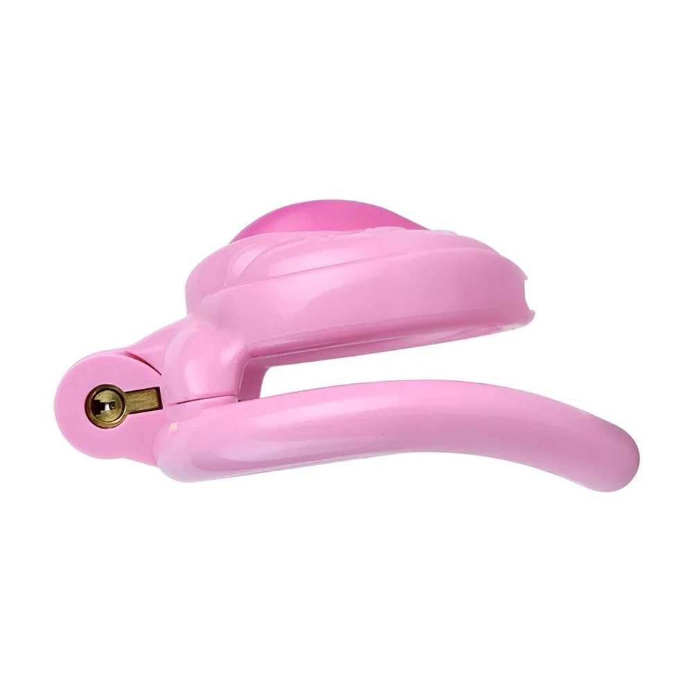 4 Colors Sissy Pussy Chastity Cage Set Lightweight Male Micro Labia Cock Cage With 4 Size Penis Rings BDSM Sexy Toys For Men Gay