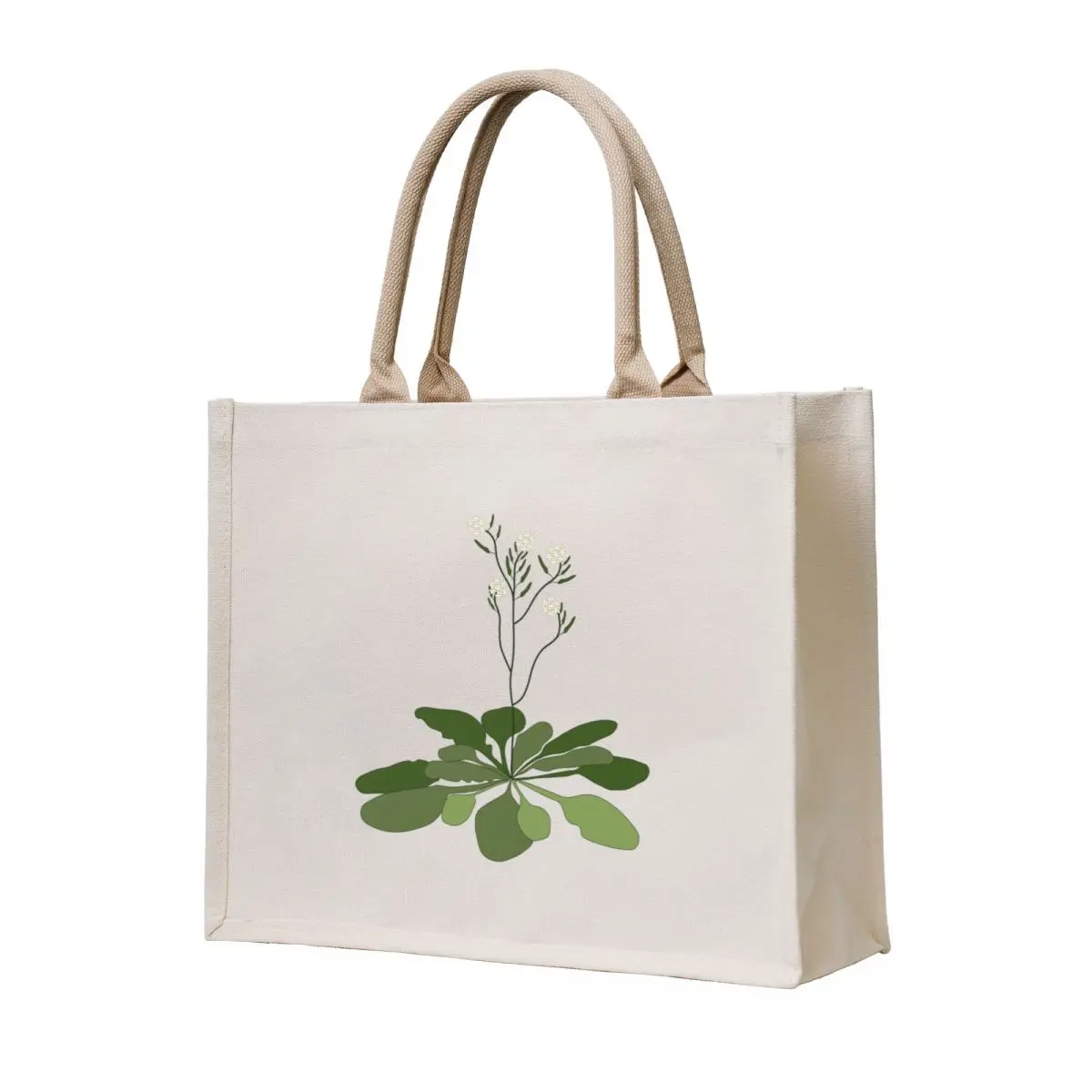 

Arabidopsis - STEM - Experiment - Floral Illustration Tote Bag sacs de shopping Women's shopping bag Big bag tote