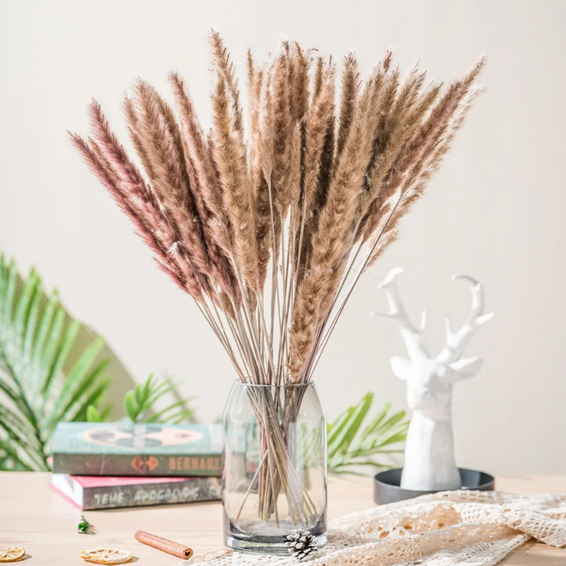 15PCS Natural Dried Pampas Grass Bouquet,Boho Home Decor Bouquet,Phragmites Dried Flowers,Pampas Decoration Pampa Dekoration