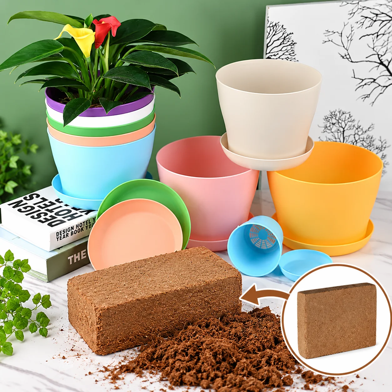 Plastic Flower Pot with Tray and Coconut Coir Disc Succulent Planter Kit for Cactus Indoor Plants Gardening Repotting