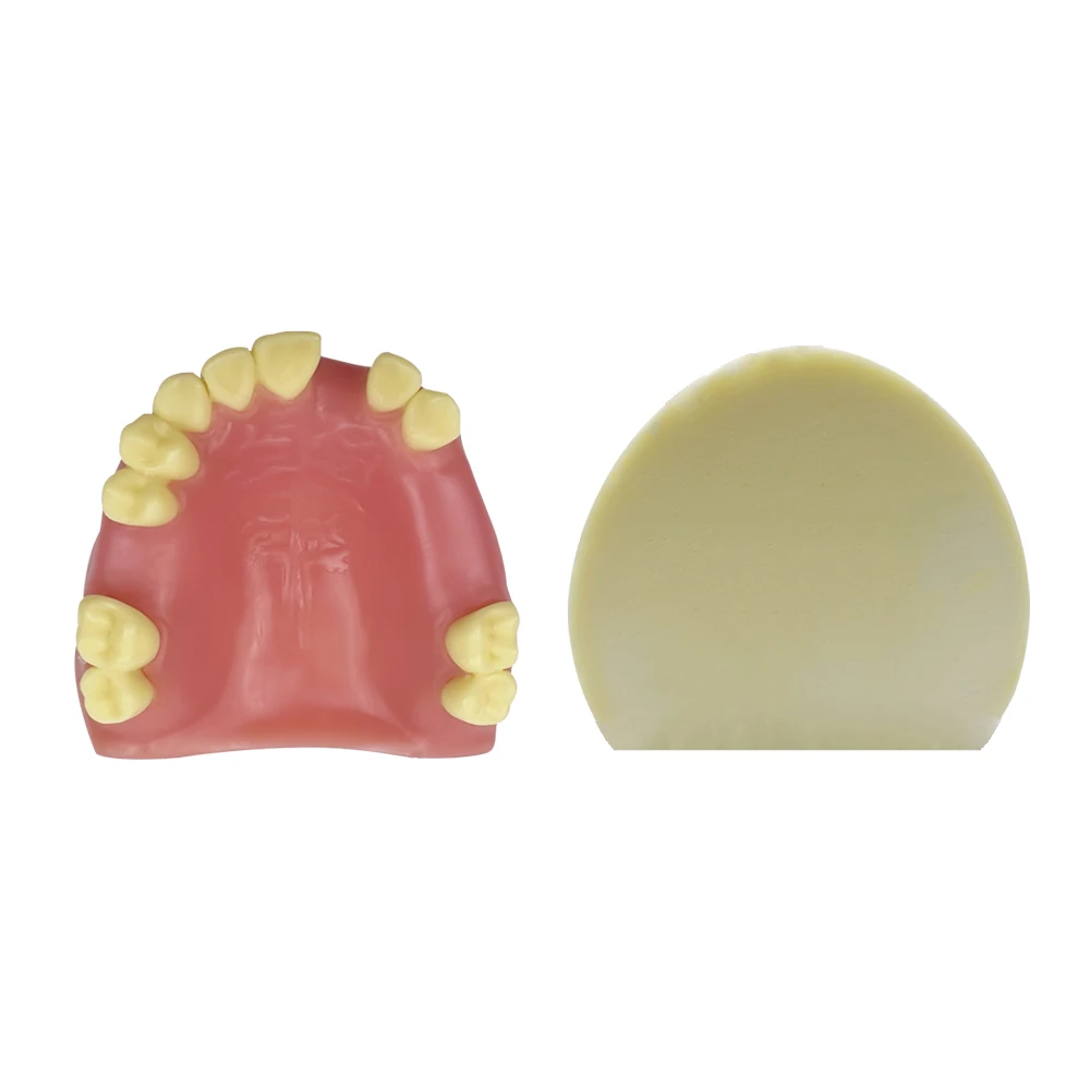 Modèle d'implant dentaire fuchsia, modèle de pratique du sinus maxillaire, dent manquante, étudiant dentiste, démonstration d'étude