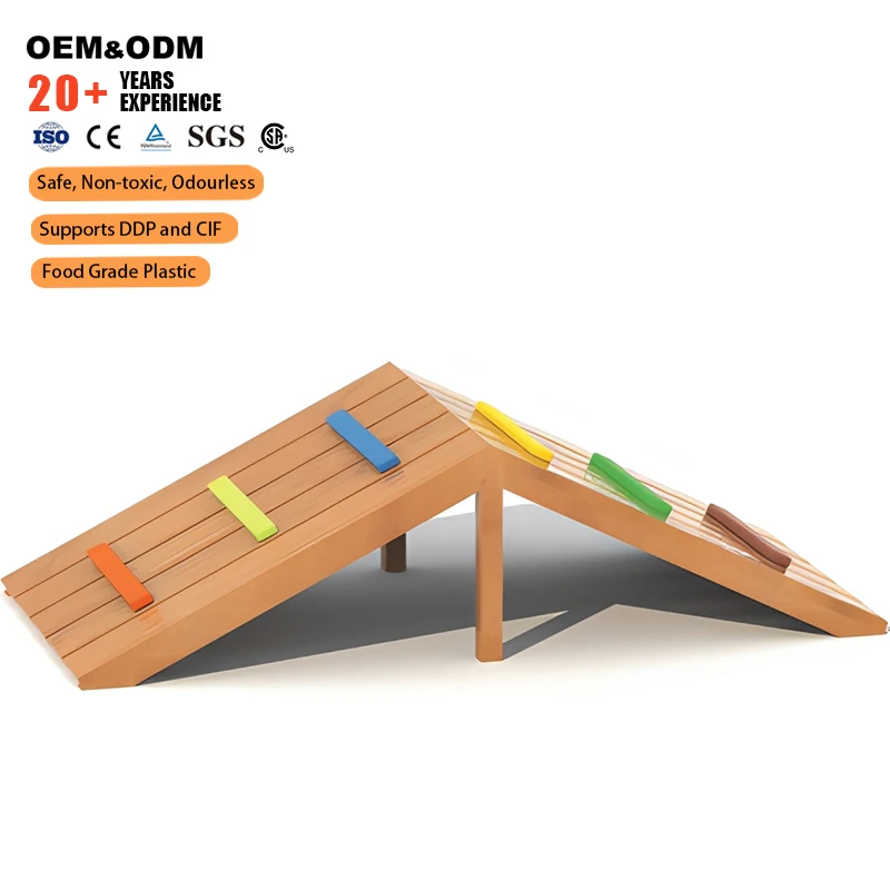 

Wholesale Safe Non Toxic Wear Resistant Outdoor Playground Dog Agility Ramp For Backyard Pet Playground Home Training Area