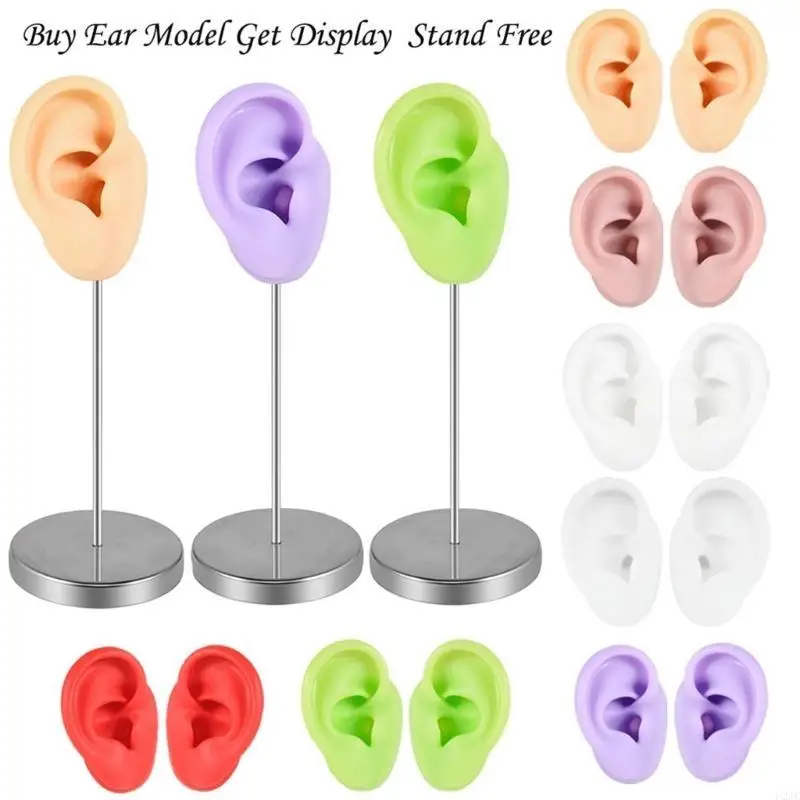 

Silicone Ear Mold for Jewelry Displays Artificial Human Ear Model Realistic Ears Simulation Piercing Training Tool
