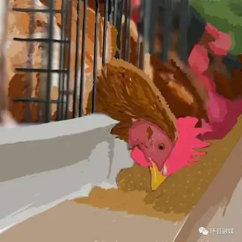 

Aluminium Front Rear Shocks Damper Kit for Tamiya DT-02 DF-02 TT-02B 1/10 RC Buggy Car Chassis Upgrade Parts