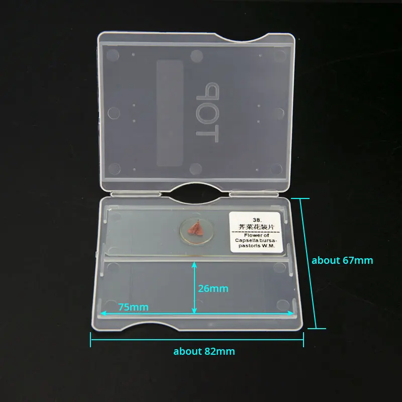 Pathological Slides Storage Holder Box Microscope Slice Holder Case Plastic Can Hold 2 PCS Slice