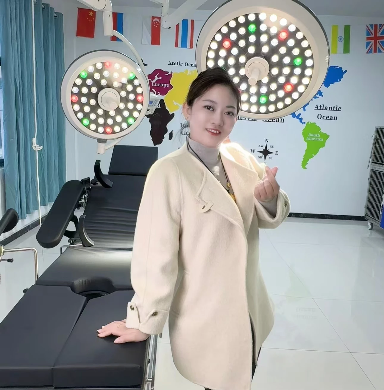 

Ветеринарный потолочный операционный светильник LED без теневых пятен для клиник