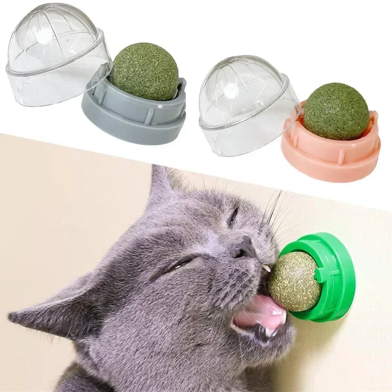 Catnip Wall Ball Cat Toy Stick-on Catnip Treat Ball for Cats Natural Cat Grass Snack to Promote Digestion