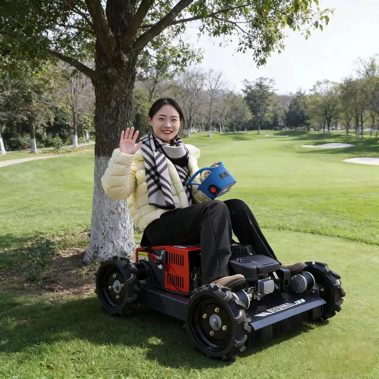 Customized Intellig…