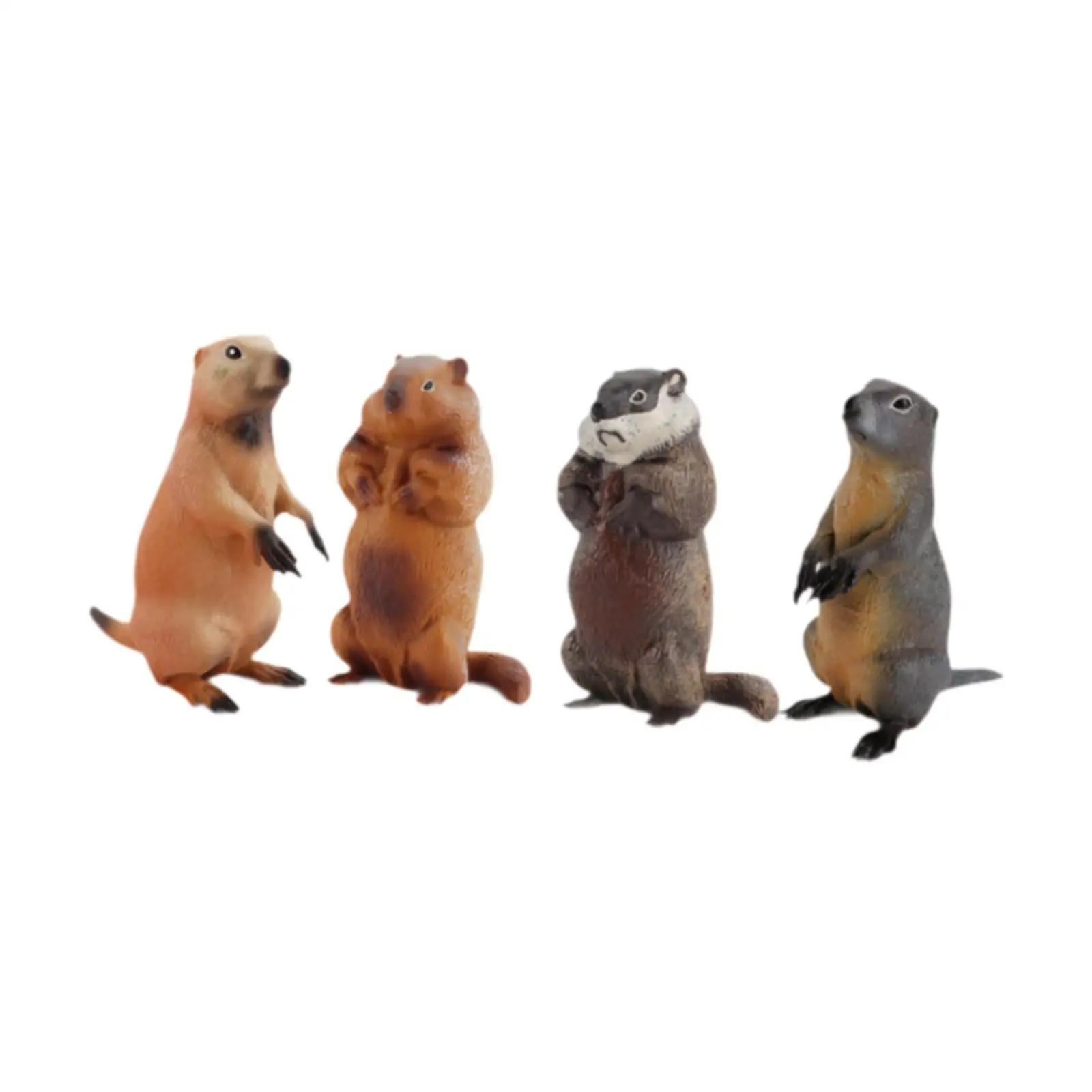 Figurines de modèle de marmottes, modèles d'animaux simulés, décor d'art, sculptures de marmottes, ornements de bureau pour enfants, 4 pièces