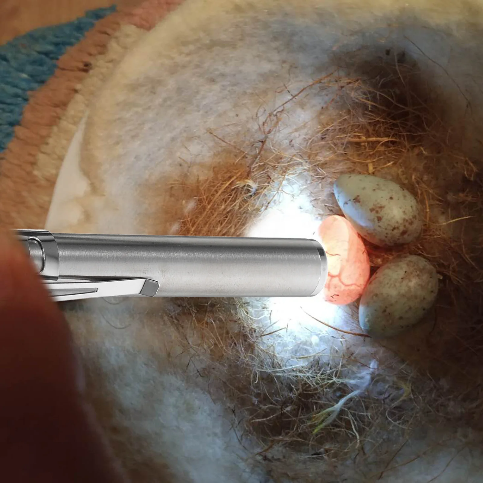 

Egg Candler Incubator Light for Chicken Duck Eggs Handheld LED Inspection Tool Farm Supply Pet Vitamin