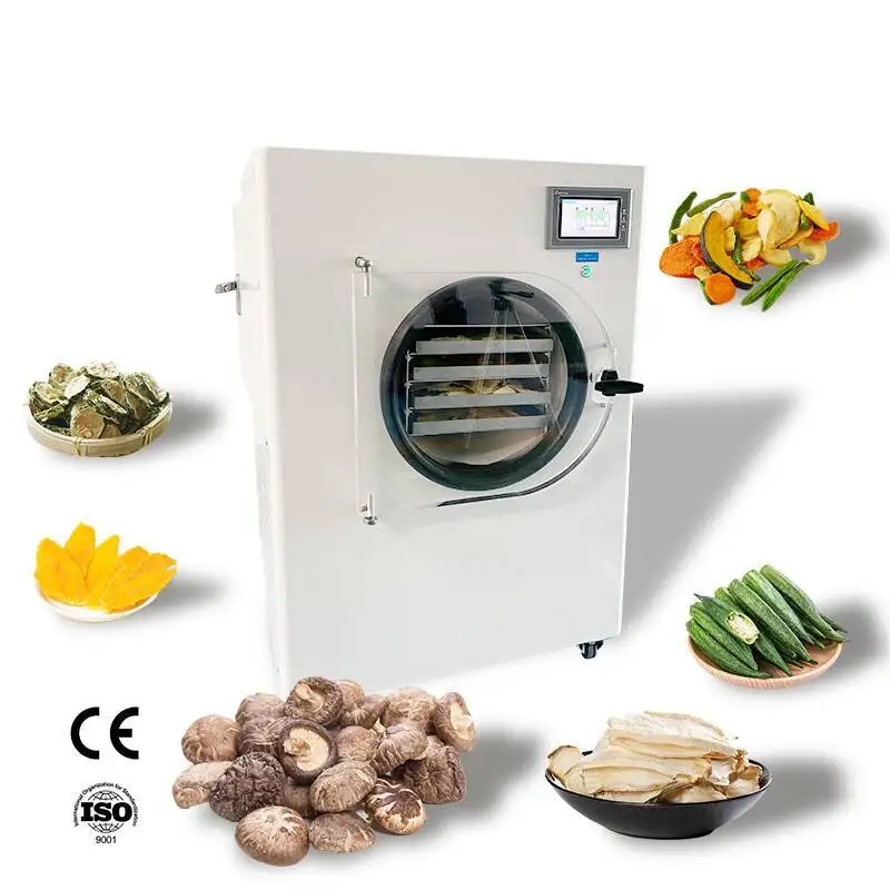 Food vacuum freeze dryer Dehydrator Vacuum Dry Oven - Hine And Freeze Dryer System