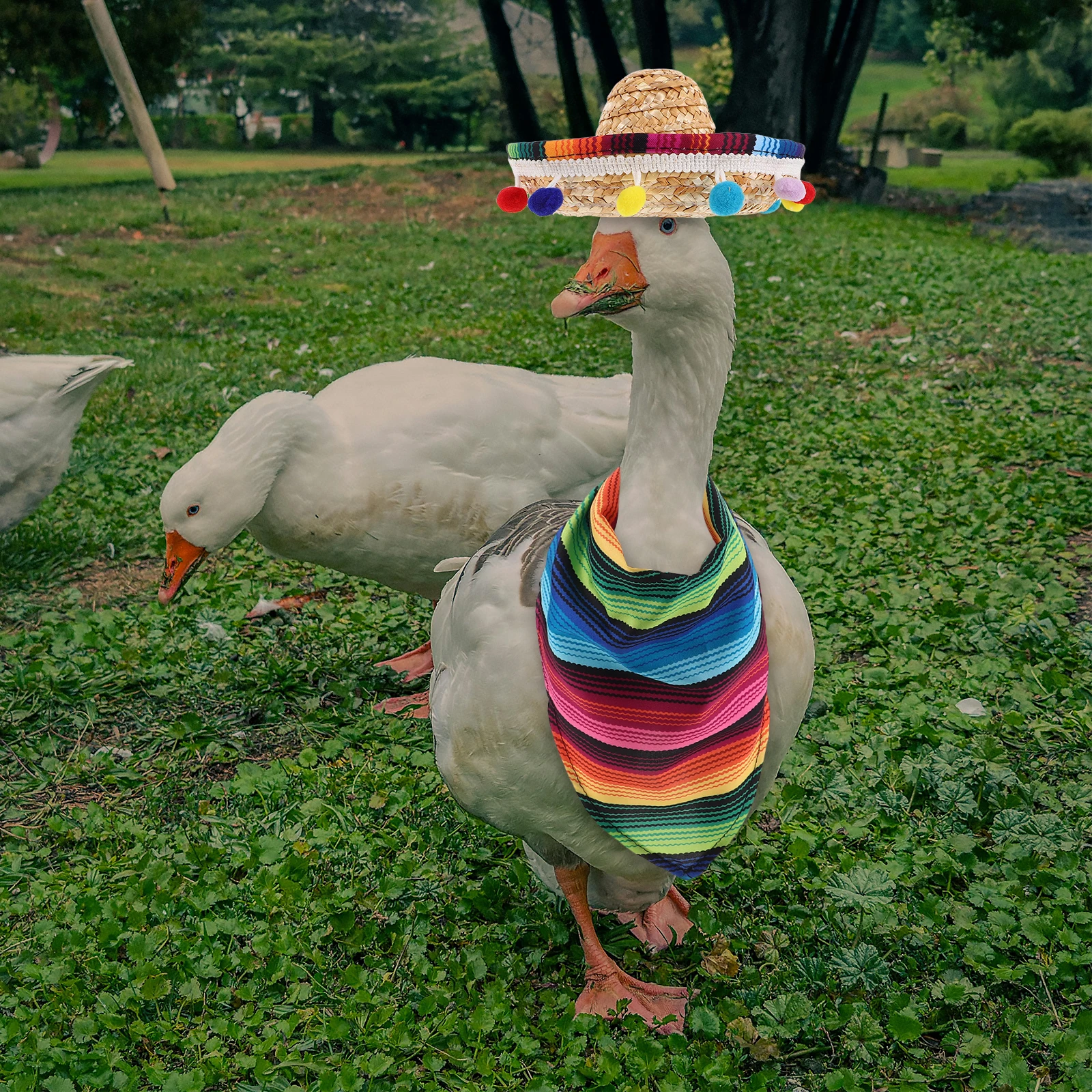 

Lawn Goose Mexican Sombrero Bandana Outfits Cinco De Mayo Festival Costume Garden Decorations