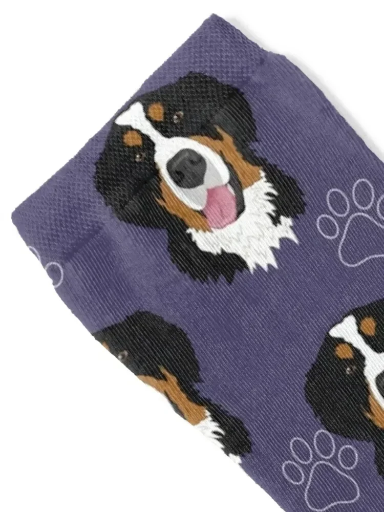 Bernese Mountain Dog Pattern Socks basketball Stockings man cool Socks Girl Men's