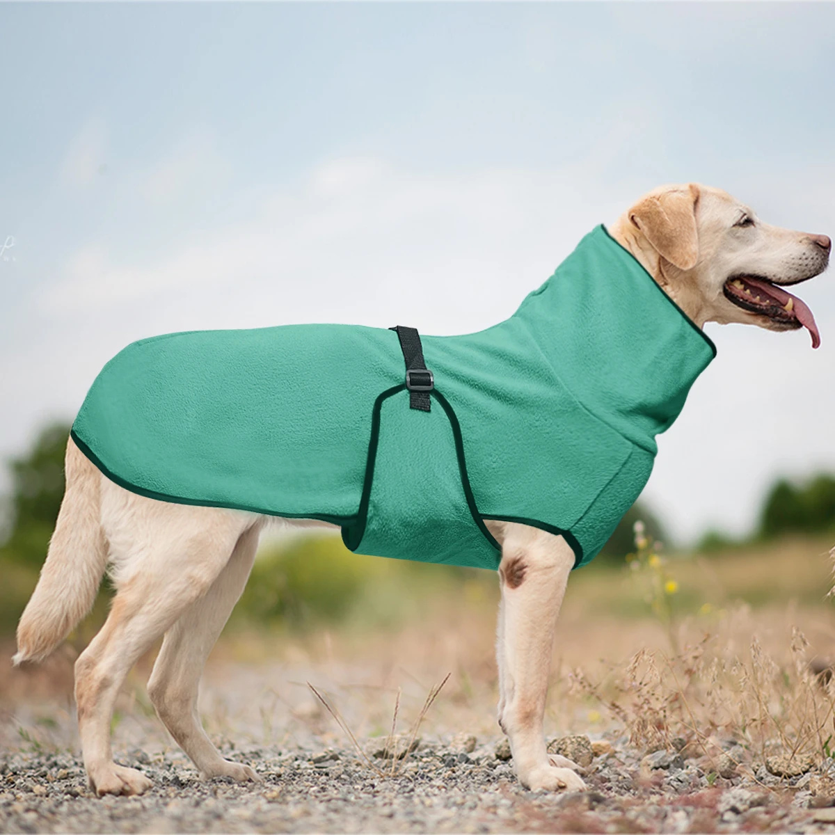 High Collar Warm Dog Coat with Adjustable Strap, Soft Thermal Windproof Winter Dog Jacket, Stretchy Comfortable Pet Outfit for L