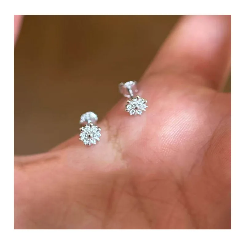 

Mini Temperament Small Fireworks Stud Earrings Women's Light Luxury Fashion Design Sense Commuter Zircon Geometric Earrings New