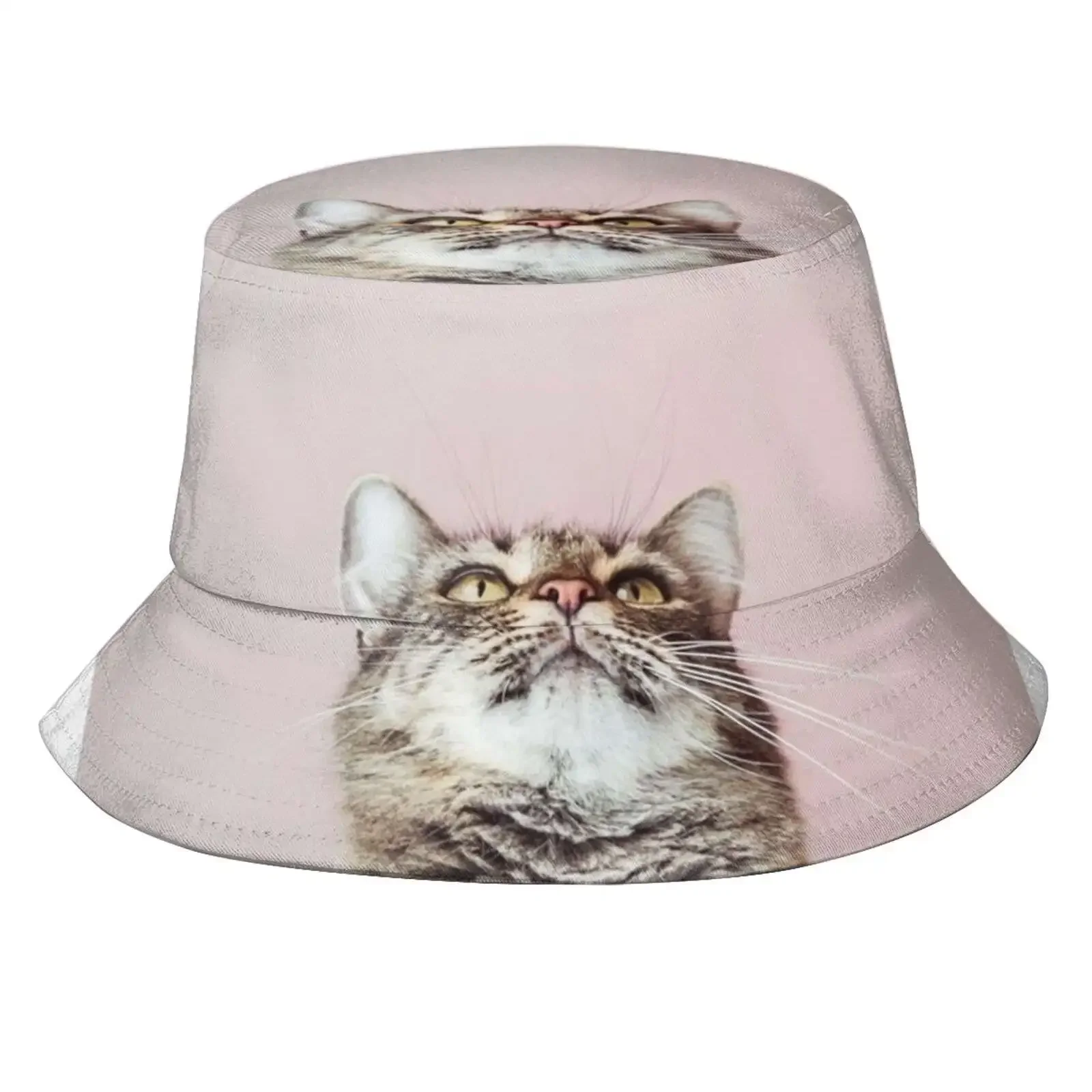 Beautiful Cat Looking Up Fisherman's Hat Bucket Hats Caps Animal Portrait Background Bliss Cat Close Up Cute Feline Fluffy