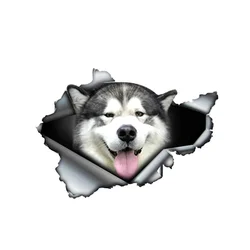 Personality PVC Decal Malamute Dog Car Sticker on Motorcycle Laptop Decorative Accessories Waterproof and Sunscreen,13CM*10CM