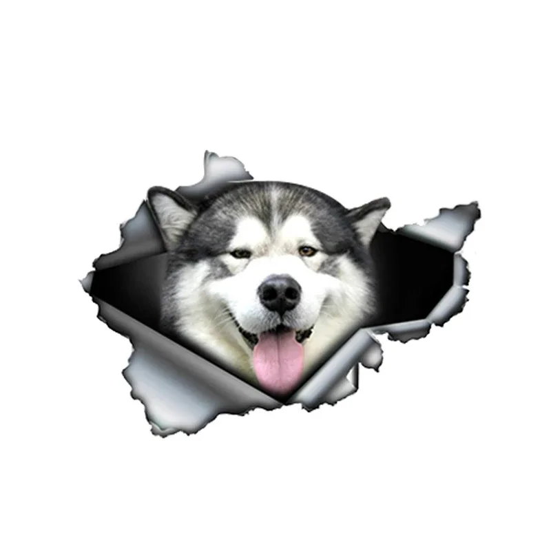 Osobowość naklejka z PVC Malamute pies naklejki samochodowe na motocykl Laptop akcesoria dekoracyjne wodoodporny i krem do opalania, 13CM * 10CM