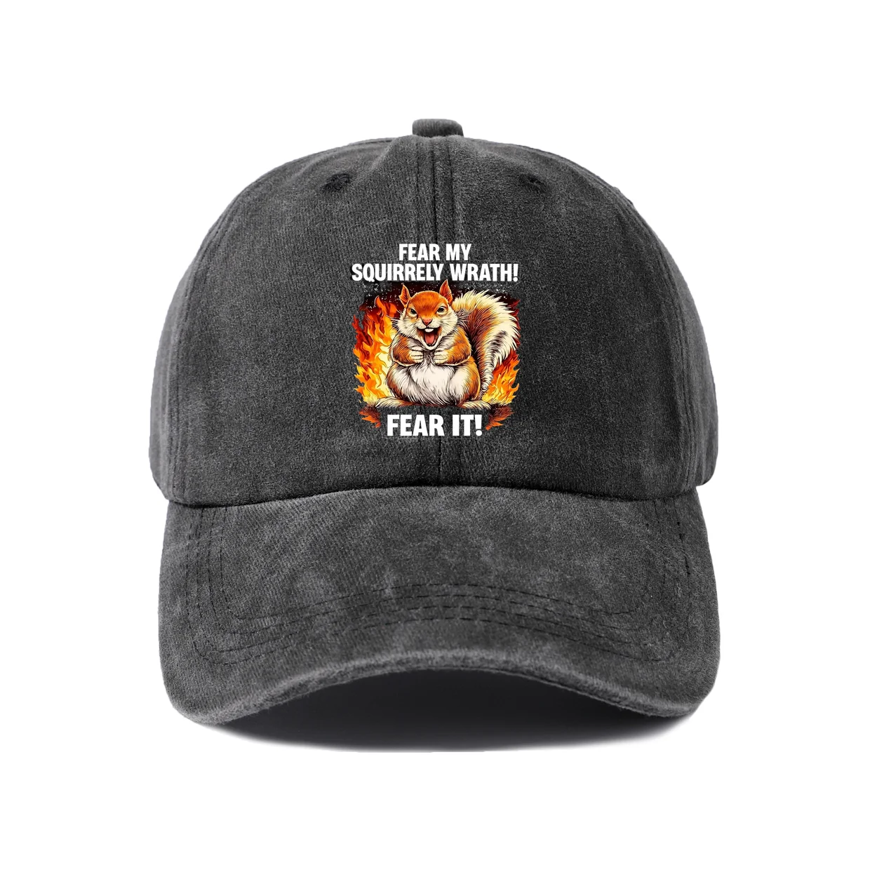 Angry Squirrel Humor Graphic Baseball Cap, Vintage Washed Adjustable Unisex Dad Hat, Everyday Gift