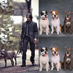 1/6 American Staffordshire Terrier Resin Pet Dog Simulation Animal Model Household Car Soldier Accessories For 12