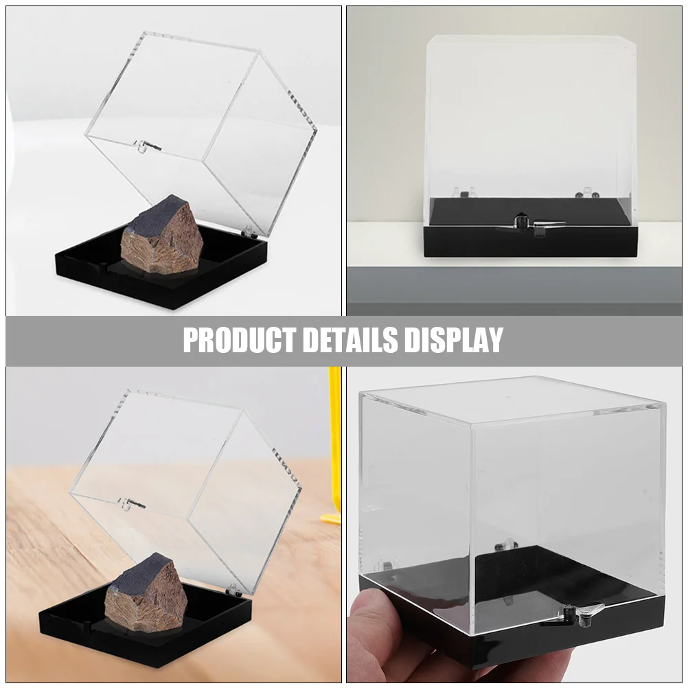 Ore Display Box Mineral Sample Case Clear Organizer Drawers Frame Plastic Office