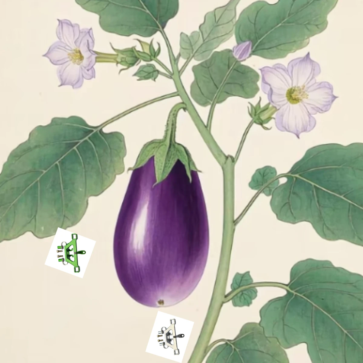 

КРЕПЛЕНИЕ ПЕРЕДНЕГО КРЫШКА ИЗ СПЛАВА GPM С ВИНТОМ TRAXXAS 1:16 MINI E REVO