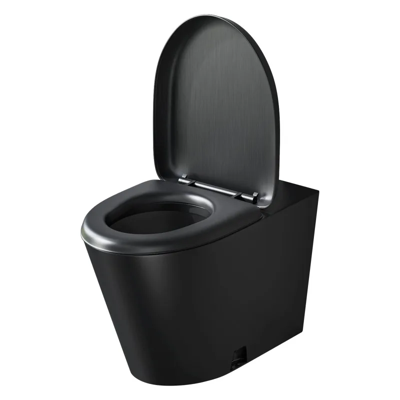 Black 304 stainless steel toilet bar toilet concealed water tank toilet deodorant