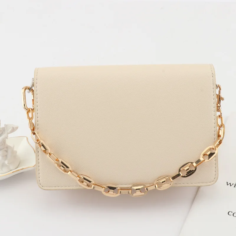 Women Bag Chain Hand Bill Shoulder Bag Chain New Acrylic Pig Nose Chain Light Luxury Niche Fashion