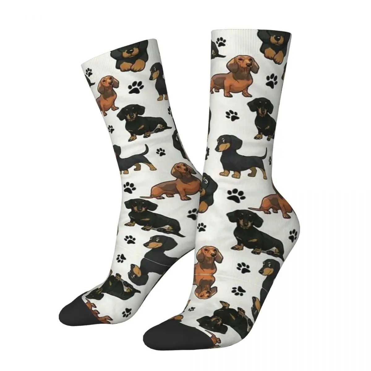 

Dachshund Dog Cartoons Cute Socks for Women Men Merch All Season Super Soft Long Socks Sweat Absorbing