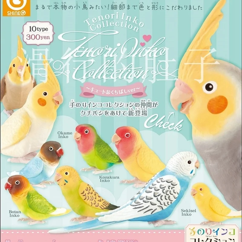 [재고 있음] 일본 샤인-G 긴 꼬리 앵무새 '귀여운 삶' 피규어 - 가샤폰 수집품 Decorb 사랑스러운 새 테마 장난감