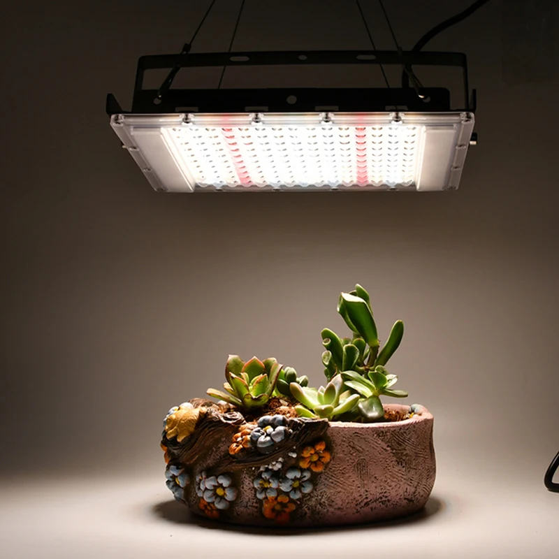 Volledig Spectrum 380-840nm Zonlicht Groei Licht Geleid Ip65 50W 100W 300W Plant Kweeklicht Met Eu Plug Voor Binnenkas
