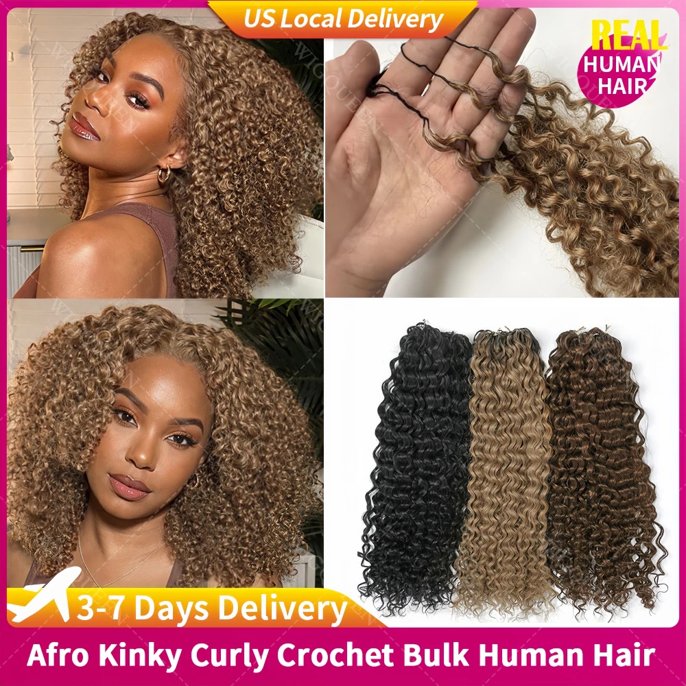 

Afro Kinky Curly Crochet Bulk Human Hair Extensions Blonde Highlight Reusable Feather Small Spirals Curly Crochet Hair for Braid
