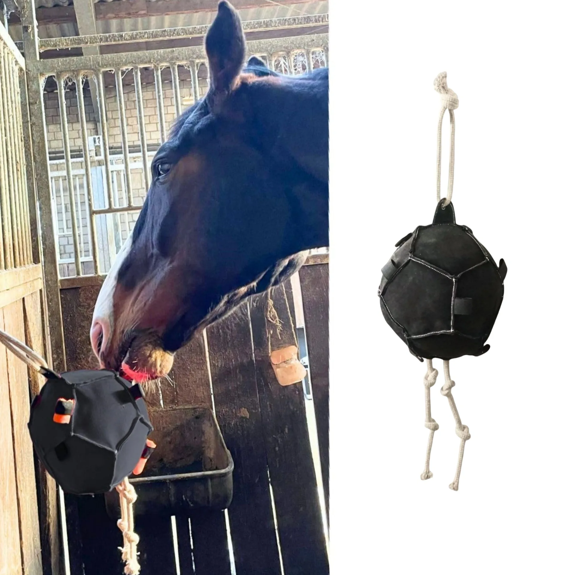 新しいスタイルのインタラクティブな馬用おもちゃ、キャロット付きでトレーニング、餌やり、ボールキャッチが可能、黒色の馬用インタラクティブアクセサリー