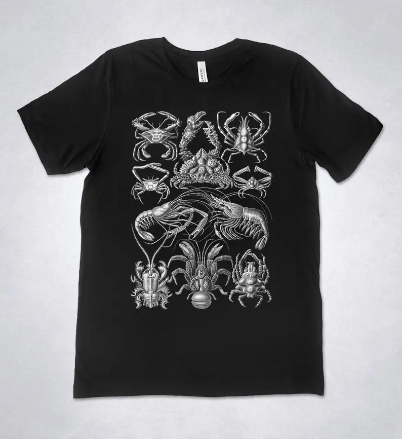 

Ernst Haeckel t-shirt - Decapoda, Art Forms of Nature 1904, Lobster crab shirt, Shrimp t-shirt, Vintage illustration t-shirt, Ha