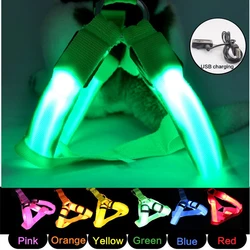 USB Rechargeable LED Light Flashing Dog Collar Harness Safety in Dark Night Anti Lost Adjustable Pet Supplies