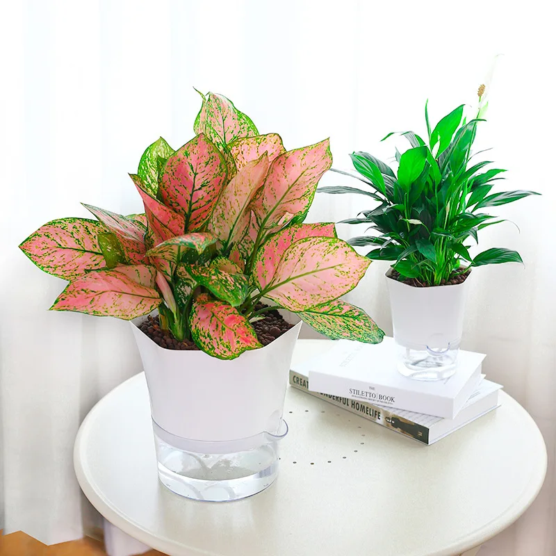 insFengtu Cultivation Flower Pot with Visible Water Level, Automatic Water Absorption, Lazy Pot, White, Breathable, Easy to Main