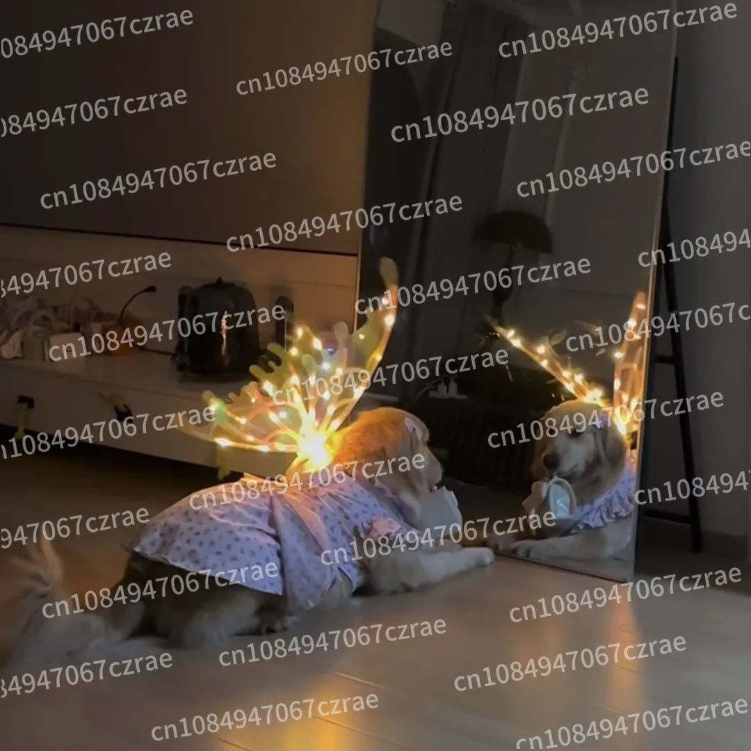 Dog Wings Birthday Wedding Dress Up with Music Dynamic Wings Pet Accessories