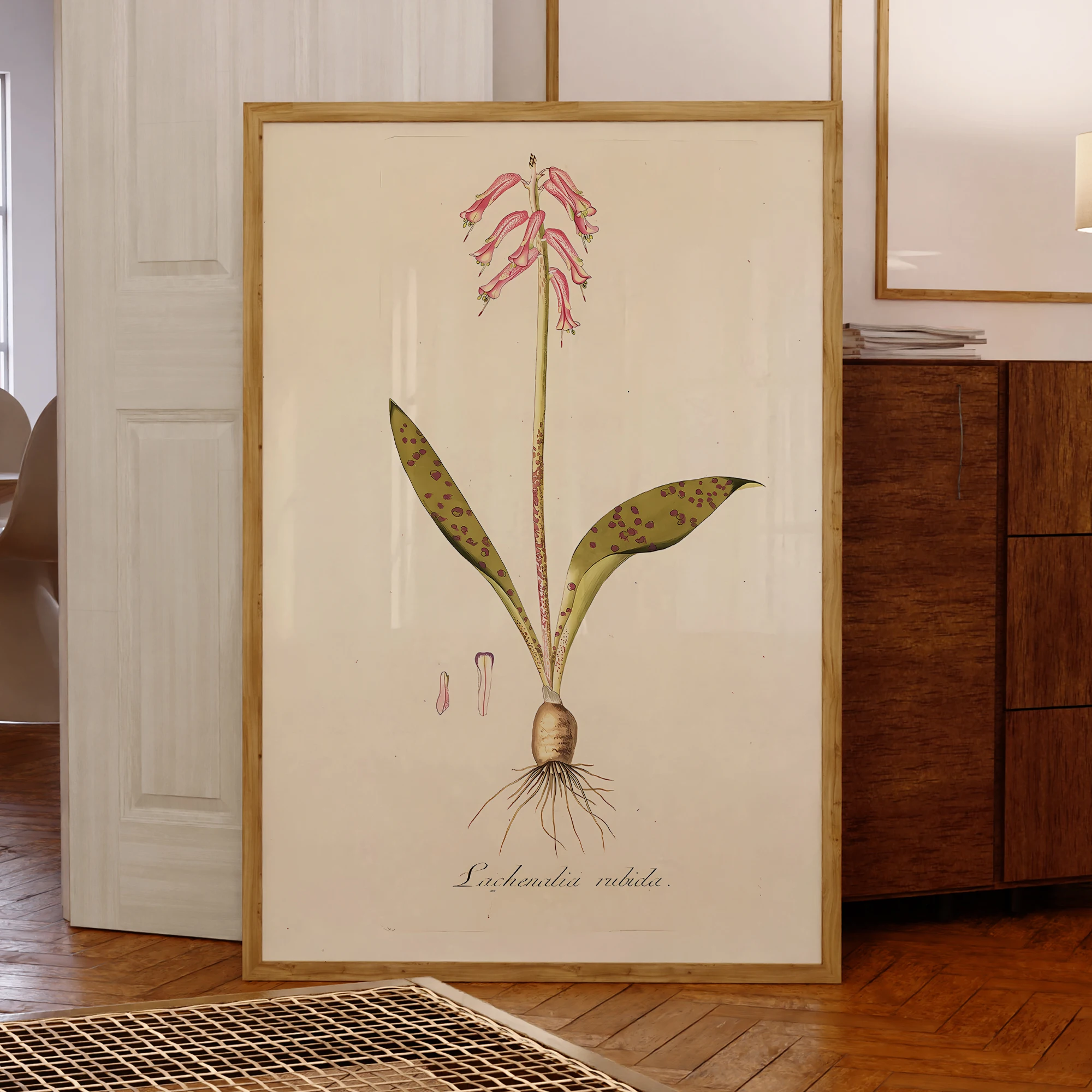 Vintage Anchor Column Orchid Wall Art Prints Canvas Painting Poster Picture For Living Room Waterproof Home Decor