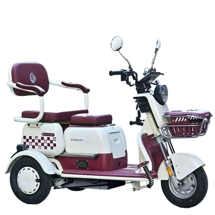 Electric Tricycle Adult Household Small The Elderly Pick Up Children To School Electric Tricycle Lady