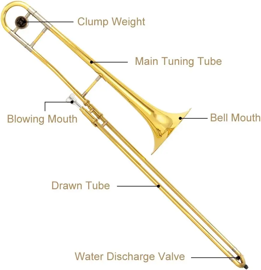 Trombone Instrument for Beginners Student and Adult Learners