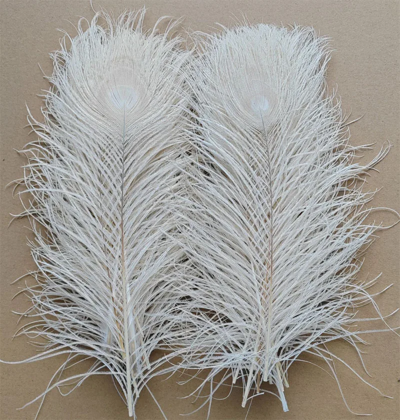 

50Pieces – Creamy White Bleached Peacock Tail Eye Feathers 10-12” Long Craft,Halloween Feathers Wholesale
