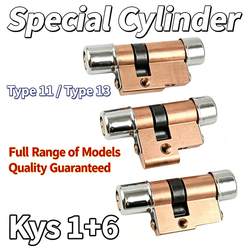 Old Special-shaped Anti-theft Lock Cylinder, Type11 Full Range