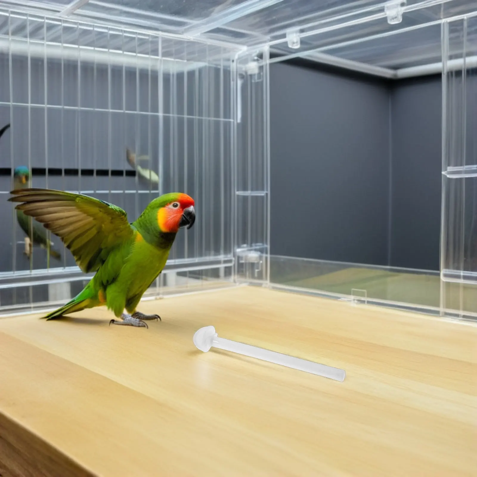 

50 шт. пластиковых платформ-лежанок для птичьих клеток, прочные и легкие, для корелл и волнистых попугаев, сменные подставки для стояния