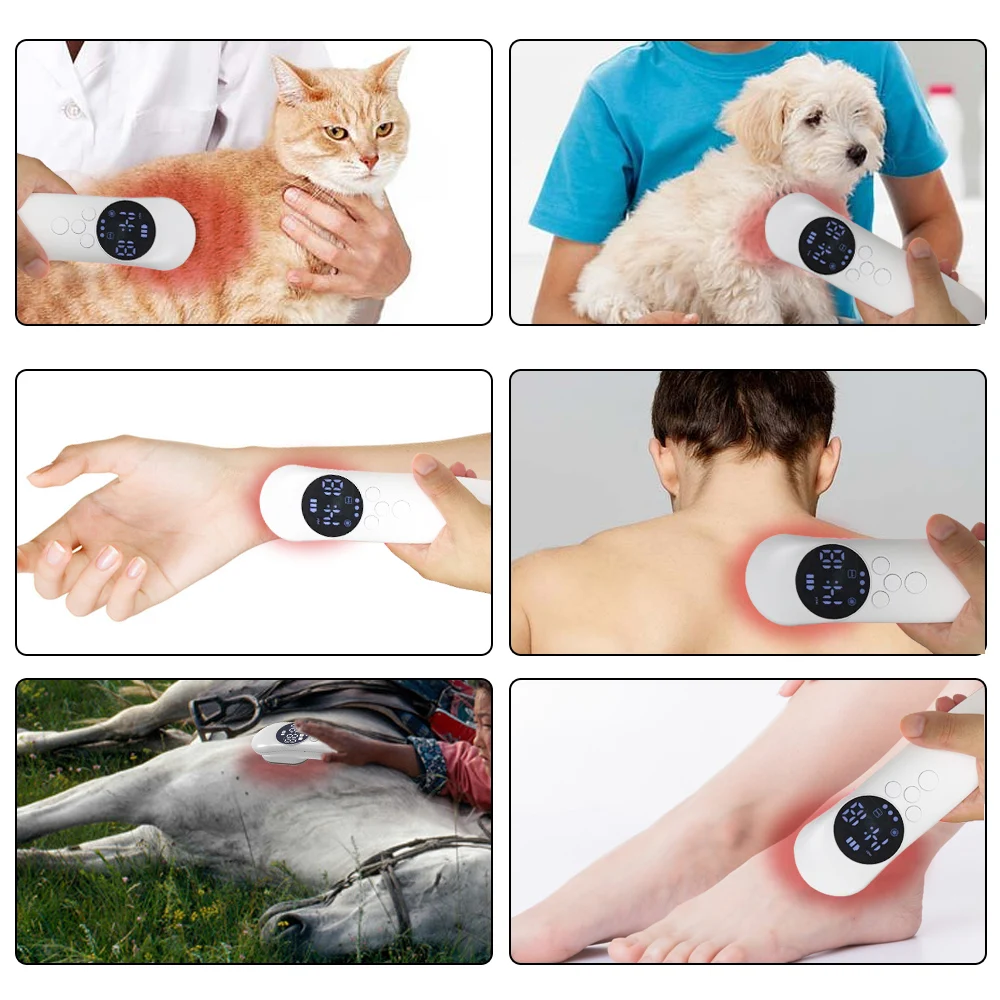 Verbesserte 650nm 808nm Handheld-Kalt laser therapie Low-Level-Laser therapie für Schmerz tiere 3 x808nm Geräte