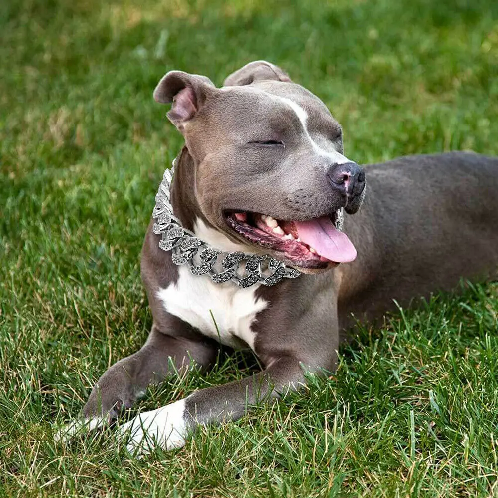 Imagem -06 - Grande Cão de Cristal Enforcador Colar de Heavy Duty Ligação Cubano Grosso Arnês do Cão Coleira de Cão Acessórios para Animais de Estimação Aço Inoxidável 32 mm